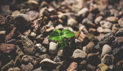 为什么木门会有色差？没色差的实木门，你敢买吗？